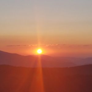 Meet your Posher, Miriam